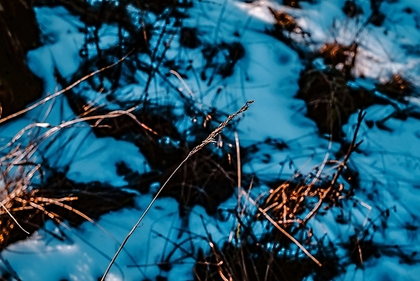 포토 JPG 해외이미지 나무 식물 계절 유럽 줄기 백그라운드 밭 자연 하늘 날씨 따뜻함 그림자 사람없음 야외 목재 초록색 빛 컬러풀 태양 일출 환경 맑음 귀걸이 일몰 봄 젖음 촉촉함 흰색 면 닫기 습지 저녁 숲 수분 장면 북쪽 침엽수 솜털 내추럴 해외포토 자연요소 나라 컬러 농업 재료 장신구 모션 노을 야간 방향 생태계 파일형식 이미지허브