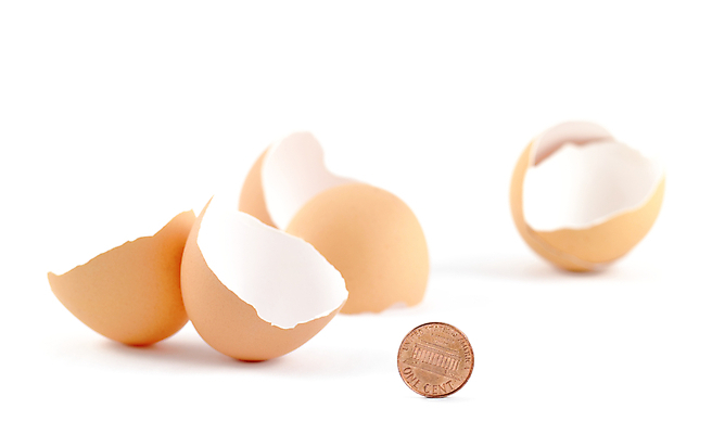 포토 JPG 해외이미지 1 돈 사람없음 갈색 계란 동전 껍질 흰배경 고립 센트 예산 페니 해외포토 컬러 백그라운드 알 흰색 재산 파일형식 이미지허브