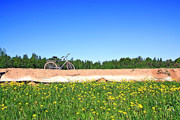 포토 JPG 해외이미지 라이프스타일 도로 모래 스포츠 여행 교통시설 자연 하늘 휴가 바닥 건조 풍경 사람없음 여름 뷰티 자전거 봄 운전 사막 뜨거움 고독 민들레 땅 허브 타이어 통나무 먼지 멀리 추적 넘어짐 선로 오프로드 인공 해외포토 나무 식물 계절 꽃 감정 길 교통 모션 생활 바이크 시설 생태계 파일형식 이미지허브