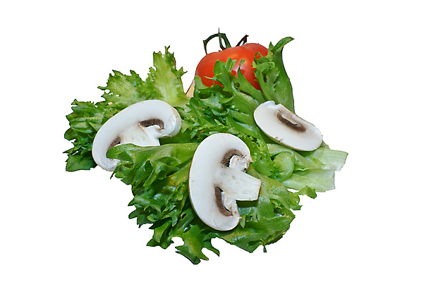 포토 JPG 해외이미지 음식 백그라운드 잎 토마토 채소 사람없음 빨간색 초록색 버섯 샐러드 흰색 신선 아침식사 채식 해외포토 식물 컬러 식사 파일형식 이미지허브