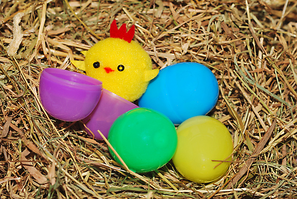 포토 JPG 해외이미지 병아리 사람없음 초록색 파란색 장난감 둥지 플라스틱 밀짚 해외포토 컬러 재질 조류 짚 파일형식 이미지허브