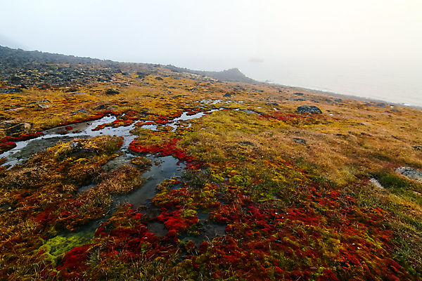 포토 JPG 해외이미지 계절 바다 섬 여행 백그라운드 겨울 밭 자연 하늘 산 파노라마 이끼 풍경 사람없음 야외 물 파란색 글로벌 태양 뷰티 환경 냉동 얼음 사막 추위 흰색 북극 그림 빙하 서리 빙산 북쪽 내추럴 생태학 절정 평야 수평선 해외포토 자연요소 교육 컬러 농업 촬영기법 극지방 방향 생태계 파일형식 이미지허브