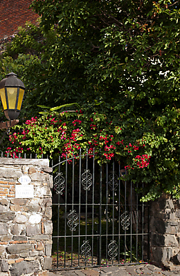 포토 JPG 해외이미지 나무 식물 벽 건축양식 거리 주택 사람없음 빛 문 바위 도시 식민지 우루과이 해외포토 건축 건물 돌_바위 남아메리카 파일형식 이미지허브