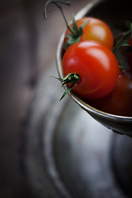 포토 JPG 해외이미지 디자인 음식 백그라운드 컨셉 잎 토마토 채소 재료 탁자 건강 요리 미술 사람없음 목재 빨간색 주방 이탈리아 샐러드 회색 수확 시골 신선 체리 널 허브 심볼 향신료 유기농 질감 성분 내추럴 숙성 옛날 채식주의자 스타일 유일 시리즈 해외포토 나무 식물 웰빙 유럽 컬러 가구 농업 과일 문화예술 채식 향미료 파일형식 이미지허브