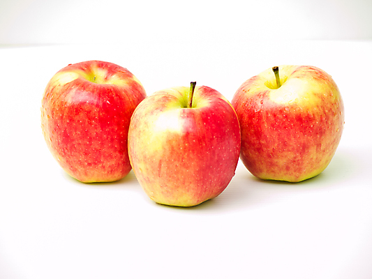 포토 JPG 해외이미지 식물 음식 농업 다이어트 과일 자연 건강 사람없음 빨간색 컬러풀 신선 그룹 달콤 사과 먹기 흰배경 상쾌 유기농 질감 강렬 고립 숙성 채식주의자 맛있는 해외포토 웰빙 감정 산업 컬러 백그라운드 모션 흰색 맛 생태계 채식 파일형식 이미지허브