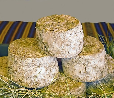 포토 JPG 해외이미지 음식 다이어트 치즈 사람없음 세일 우유 프랑스 발표 소 시장 맛 공예 전시회 무역 프랑스어 부스 칼슘 프로듀서 해외포토 직업 문자 유럽 산업 컨셉 포유류 유제품 건강 취미 전시 파일형식 이미지허브