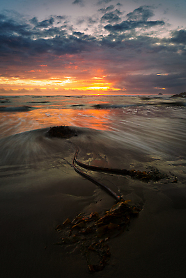 포토 JPG 해외이미지 나무 모래 바다 섬 여행 백그라운드 오렌지 하늘 손바닥 사람없음 물 파란색 햇빛 태양 반사 노란색 일출 어둠 침묵 황혼 일몰 새벽 꿈 야간 저녁 장면 이국적 파라다이스 해외포토 자연요소 식물 손 컬러 과일 노을 소리 파일형식 이미지허브