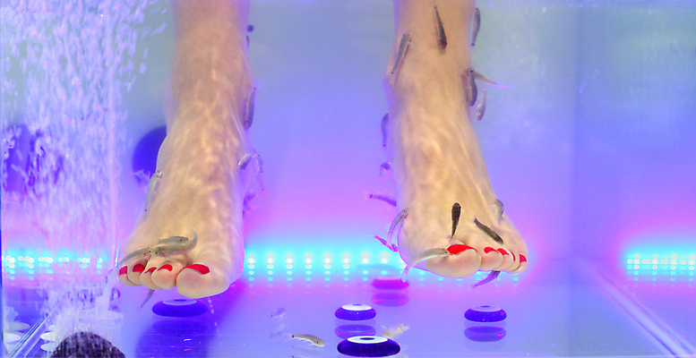 포토 JPG 해외이미지 라이프스타일 여자 컨셉 휴식 건강 어류 안전 사람 사람없음 치료 물 파란색 뷰티 약 상점 스파 마사지 손톱 먹기 피부 피부관리 수족관 테라피 돌봄 양발 위생관리 페디큐어 해외포토 자연요소 손 컬러 의학 모션 관리 생활 신체부위 수중동물 파일형식 이미지허브