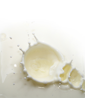 포토 JPG 해외이미지 음료 다이어트 유리 건강 사람없음 파란색 우유 흰색 신선 액체 붓기 떨어짐 상품 쏟아짐 칼슘 해외포토 컬러 컨셉 모션 재질 유제품 파일형식 이미지허브