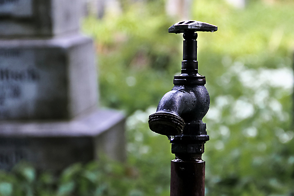 포토 JPG 해외이미지 백그라운드 자연 손잡이 잔디 사람없음 야외 초록색 물 여름 빛 달리기 반사 환경 금속 정원 봄 젖음 흐름 추위 수확 가을 흰색 신선 액체 떨어짐 빨래 부식 수도꼭지 원예 파이프 분무기 호스 내추럴 구리 놋쇠 옛날 해외포토 자연요소 식물 계절 컬러 컨셉 가사 농업 모션 재질 취미 원소 생태계 파일형식 이미지허브