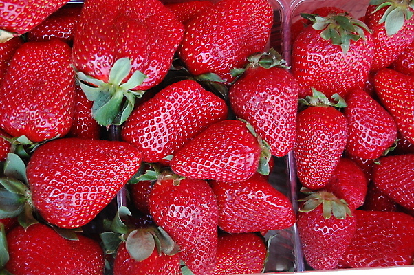 포토 JPG 해외이미지 1 열매 음식 백그라운드 다이어트 채소 과일 딸기 건강 사람없음 빨간색 흰색 신선 최고 닫기 맛 자르기 싱글 유기농 내추럴 고립 숙성 식용 혼자 많음 차단 해외포토 식물 웰빙 컬러 컨셉 모션 파일형식 이미지허브