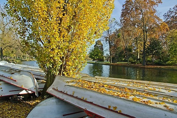 포토 JPG 해외이미지 나무 호수 잎 겨울 자연 휴식 건조 사람없음 물 상점 가을 연못 보트 수납 그만 해외포토 자연요소 식물 계절 컨셉 배_교통 생태계 파일형식 이미지허브