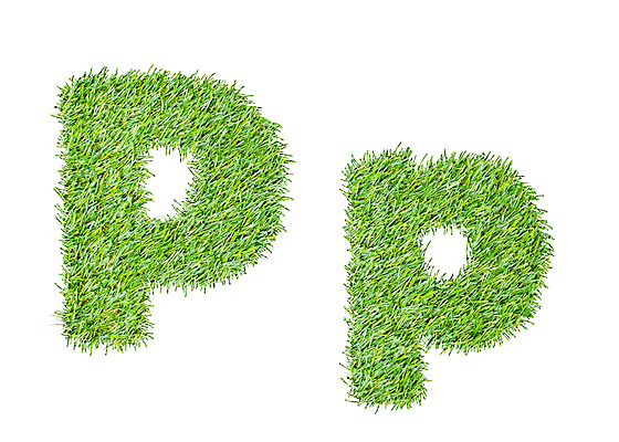 포토 JPG 해외이미지 모양 식물 디자인 알파벳 백그라운드 컨셉 잎 패턴 농업 일러스트 텍스트 자연 추상 아이디어 창조 미술 초원 타이포그라피 사람없음 초록색 세트 환경 성장 흰색 기록 신선 마사지 보호 편지 허브 심볼 오브젝트 사인 에코 유기농 내추럴 고립 생태학 스타일 해외일러스트 문자 웰빙 영어 교육 산업 컬러 무늬 문화예술 생태계 파일형식 이미지허브