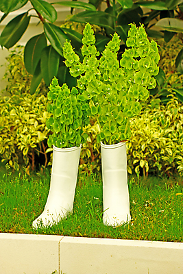 포토 JPG 해외이미지 식물 옷 신발 잎 2 자연 부츠 사람없음 장식 초록색 정원 흰색 쌍 보호 오브젝트 고무 방수 양발 해외포토 컬러 컨셉 생태계 파일형식 이미지허브