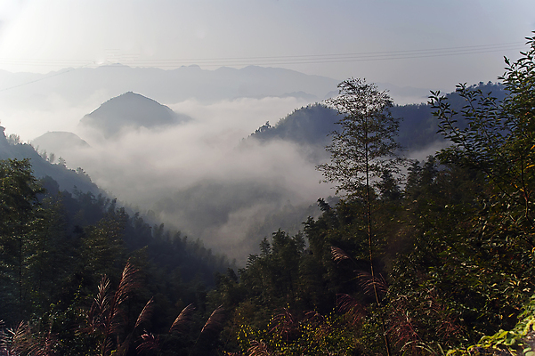 포토 JPG 해외이미지 나무 구름 산 사람없음 초록색 태양 일출 중국 안개 개울 숲 대나무 에코 해외포토 자연요소 식물 아시아 컬러 날씨 강 노을 환경 파일형식 이미지허브