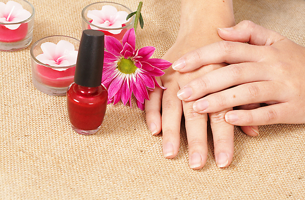 포토 JPG 해외이미지 백인 모델 1 손 여자 꽃 분홍색 백그라운드 사람 사람없음 빨간색 뷰티 갈색 상점 스파 화장품 손톱관리 광택 망사 혼자 해외포토 서양인 식물 컬러 신체부위 직물 네일아트 파일형식 이미지허브