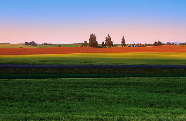 포토 JPG 해외이미지 나무 구름 공원 밭 농업 곡선 자연 풍경 사람없음 야외 초록색 파란색 일몰 봄 시골 고독 저녁 낟알 땅 언덕 장면 밭일 워싱턴 해외포토 자연요소 식물 계절 공공시설 감정 산업 선 컬러 노을 미국 야간 생태계 파일형식 이미지허브