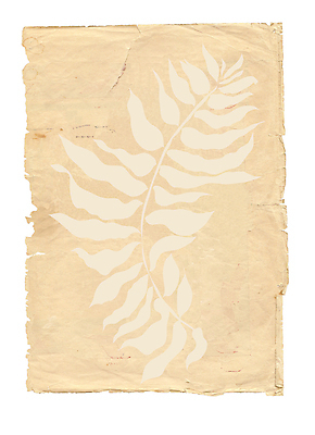 포토 JPG 해외이미지 식물 실루엣 종이 꽃무늬 패턴 일러스트 선물 사람없음 그래픽 장식 뷰티 정원 골동품 나뭇가지 신용카드 화려 스케치 심볼 그림 올리브 생물학 엽서 기념품 스타일 해외일러스트 나무 교육 열매 꽃 컨셉 무늬 촬영기법 미술 금융 편지 오브젝트 파일형식 이미지허브