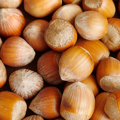 포토 JPG 해외이미지 실내 근접촬영 사람없음 견과류 가득함 헤이즐넛 많음 해외포토 뷰포인트 컨셉 내부 파일형식 이미지허브