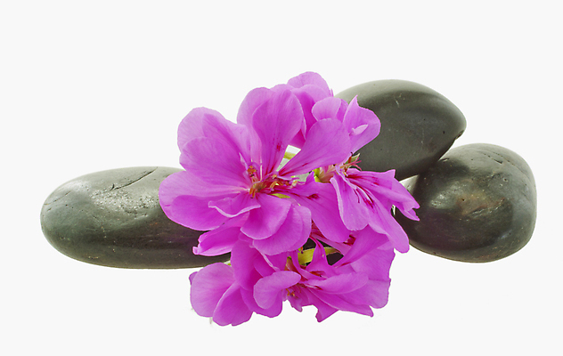 포토 JPG 해외이미지 식물 라이프스타일 꽃 분홍색 꽃무늬 자연 매달리기 사람없음 야외 장식 빨간색 초록색 컬러풀 뷰티 바구니 봄 이탈리아 프랑스 바위 흰색 묘사 셔터 심기 제라늄 해외포토 계절 유럽 컬러 무늬 모션 생활 돌_바위 생태계 파일형식 이미지허브