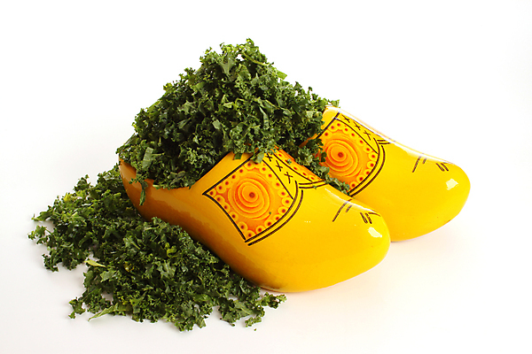 포토 JPG 해외이미지 전통 문화 음식 백그라운드 채소 재료 건강 사람없음 목재 초록색 노란색 식사 흰색 신선 닫기 네덜란드 유기농 날것 비타민 흙더미 고립 민화 전국 채식주의자 케일 해외포토 나무 웰빙 유럽 컬러 모션 흙 그림 채식 영양소 파일형식 더미 이미지허브