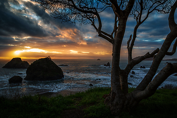 포토 JPG 해외이미지 바다 여행 백그라운드 자연 하늘 아침 날씨 해변 사람없음 야외 물 파란색 빛 컬러풀 햇빛 태양 뷰티 반사 노란색 일출 미국 어둠 황혼 일몰 새벽 낭만 저녁 캘리포니아 장면 태평양 내추럴 수평선 해외포토 주간 자연요소 컬러 컨셉 북아메리카 노을 야간 생태계 파일형식 이미지허브