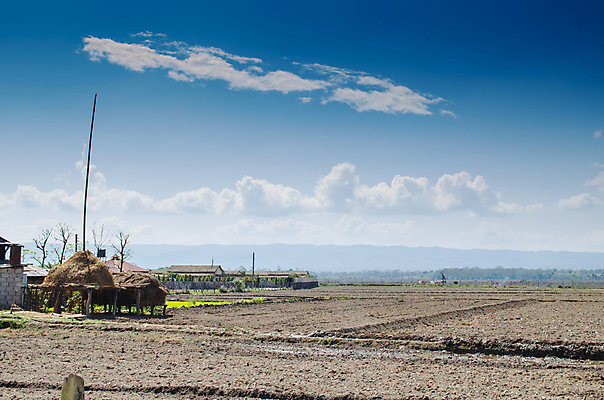 포토 JPG 해외이미지 나무 식물 아시아 도로 여행 백그라운드 낙엽 잎 자연 아침 산 사람없음 야외 초록색 태양 환경 침묵 트래킹 안개 성장 시골 소나무 숲 뿌리 장면 지역 굴곡 방법 파라다이스 해외포토 주간 자연요소 나라 길 컬러 교통시설 레저 날씨 소리 생태계 파일형식 이미지허브
