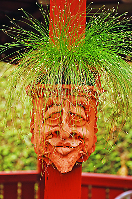 포토 JPG 해외이미지 식물 얼굴 가면 사람없음 장식 초록색 정원 화려 냄비 컨테이너 해외포토 산업 컬러 컨셉 신체부위 솥 파일형식 이미지허브