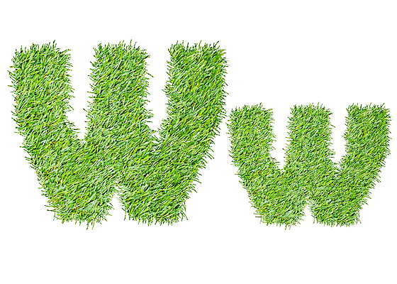 포토 JPG 해외이미지 모양 식물 디자인 알파벳 백그라운드 컨셉 잎 패턴 농업 일러스트 텍스트 자연 추상 아이디어 창조 미술 초원 타이포그라피 사람없음 초록색 세트 환경 성장 흰색 기록 신선 마사지 보호 편지 허브 심볼 오브젝트 사인 에코 유기농 내추럴 고립 생태학 스타일 해외일러스트 문자 웰빙 영어 교육 산업 컬러 무늬 문화예술 생태계 파일형식 이미지허브