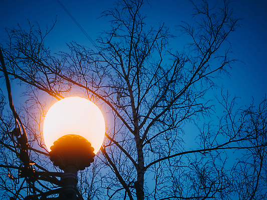 포토 JPG 해외이미지 나무 디자인 계절 공원 백그라운드 잎 가로등 건축양식 자연 하늘 조명 거리 사람없음 야외 장식 초록색 파란색 빛 금속 검은색 어둠 힘 침묵 일몰 에너지 수확 흰색 등불 램프 도시 야간 저녁 철 러시아 장면 빛망울 광 모스크바 옛날 해외포토 자연요소 식물 공공시설 건축 유럽 컬러 농업 재질 노을 소리 생태계 파일형식 이미지허브