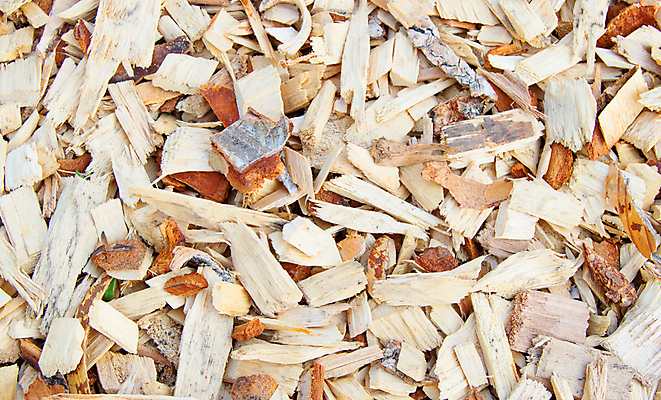 포토 JPG 해외이미지 나무 식물 산업 백그라운드 일러스트 자연 추상 사람없음 목재 갈색 노란색 쌓기 공구 나사 소나무 파편 숲 낟알 자르기 시리얼 목수 발굴 질감 날것 목공예 나무껍질 삭제 부스러기 수목 재 톱밥 해외포토 직업 음식 컬러 무늬 재료 모션 껍질 도구 가루 공예 생태계 파일형식 이미지허브