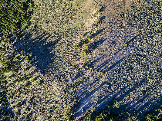 포토 JPG 해외이미지 도로 자동차 아침 안테나 그림자 풍경 사람없음 캠핑 숲 콜로라도 흙길 해외포토 주간 길 육상교통 통신 교통시설 레저 미국 흙 파일형식 이미지허브
