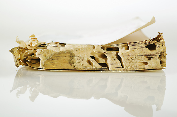 포토 JPG 해외이미지 교육 종이 사람없음 책 손상 교과서 흰배경 문학 결 지능 출판 해외포토 백그라운드 컨셉 무늬 교재 흰색 파일형식 이미지허브