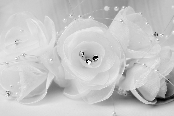 포토 JPG 해외이미지 전통 드레스 꽃잎 꽃 결혼 백그라운드 추상 사랑 사람없음 빛 장미 흰색 축하 직물 악단 가운 고급 우아함 보석 실크 천 구슬 묘사 반죽 부드러움 파스텔톤 스타일 해외포토 레이스천 식물 옷 감정 음악 컬러 컨셉 무늬 이벤트 감각 광석 파일형식 이미지허브