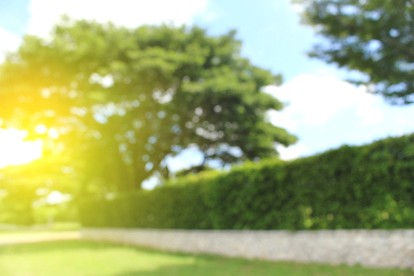 포토 JPG 해외이미지 나무 식물 벽 백그라운드 잎 패턴 밭 자연 벽지 하늘 추상 벽돌 주택 잔디 사람없음 초록색 여름 파란색 울타리 컬러풀 태양 뷰티 우주 환경 정원 바위 나뭇가지 시골 소프트포커스 큼 관목 질감 보케 시멘트 상록수 멸종 내추럴 그런지 옛날 콘크리트 해외포토 자연요소 계절 컬러 무늬 농업 촬영기법 건물 담장 돌_바위 크기 생태계 파일형식 이미지허브