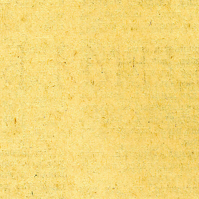 포토 JPG 해외이미지 디자인 종이 백그라운드 표면 날씨 추상 프레임 사람없음 책 갈색 노란색 우주 쪽지 공백 손상 수확 덮개 점 거친 주름 균열 황폐 질감 복고 심플 캔버스 페이지 스크래치 찢어짐 판지 구김 구식 그런지 세피아 양피지 옛날 원고 파피루스 노화 스타일 해외포토 식물 컬러 컨셉 무늬 농업 모션 촬영기법 뚜껑 파일형식 이미지허브