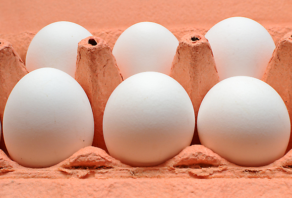 포토 JPG 해외이미지 음식 재료 포장 탁자 병아리 사람없음 상자 농장 갈색 마을 계란 치킨 껍질 흰색 신선 오픈 10 아침식사 컨테이너 가득함 묘사 오브젝트 유기농 패키지 내추럴 판지 고립 단백질 암탉 줄서기 많음 비건 해외포토 웰빙 산업 컬러 가구 컨셉 농업 모션 조류 숫자 알 식사 닭 암컷 닭고기요리 영양소 채식주의자 파일형식 이미지허브