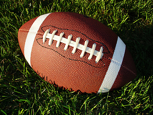 포토 JPG 해외이미지 직업 스포츠 공 잔디 사람없음 갈색 축구 경쟁 장비 게임 오브젝트 해외포토 식물 컬러 컨셉 놀이 구기 파일형식 이미지허브