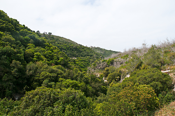 포토 JPG 해외이미지 나무 공원 도로 길 하늘 산 사람없음 봄 숲 이스라엘 해외포토 식물 계절 공공시설 교통시설 서아시아 파일형식 이미지허브