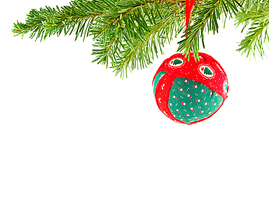 포토 JPG 해외이미지 모양 나무 전통 계절 문화 백그라운드 크리스마스 겨울 공 유리 휴가 기념 프레임 매달리기 사람없음 장식 빨간색 초록색 빛 쇼핑 우주 축제 활발 장식볼 흰색 나뭇가지 축하 인사 소나무 12월 묘사 오브젝트 상록수 전나무 고립 여의주 가문비나무 해외포토 식물 기념일 컬러 컨셉 모션 재질 예절 날짜 파일형식 이미지허브