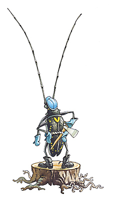 포토 JPG 해외이미지 나무 곤충 벤치 일러스트 수염 안테나 사람없음 목재 유머 티켓 숲 만화 딱정벌레 그림 도끼 담배꽁초 해외일러스트 식물 동물 감정 의자 재료 통신 담배 파일형식 이미지허브