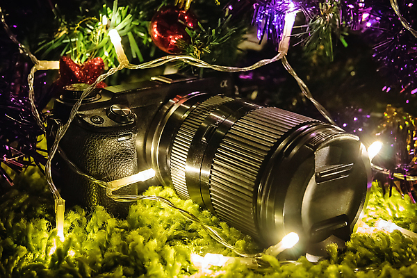 포토 JPG 해외이미지 나무 백그라운드 컨셉 크리스마스 가족 휴가 새로움 새해 주택 프레임 선물 사람없음 빨간색 빛 크리스마스트리 산타클로스 카메라 검은색 사진촬영 화환 놀람 장비 시간 정상 연도 사진사 필름 주기 전나무 기부 클라우스 해외포토 식물 기념일 꽃 감정 컬러 관계 모션 표정 건물 전자제품 촬영 작가 파일형식 이미지허브