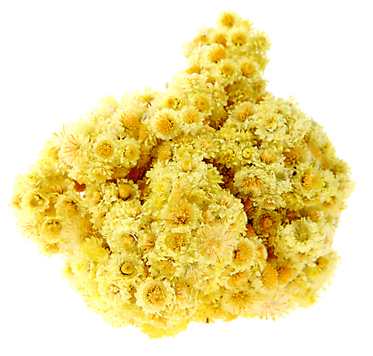 포토 JPG 해외이미지 식물 꽃 백그라운드 잎 재료 자연 건조 건강 사람없음 치료 초록색 약 흰색 약초 약국 허브 향신료 내추럴 고립 치료제 해외포토 컬러 의학 풀_식물 생태계 향미료 파일형식 이미지허브