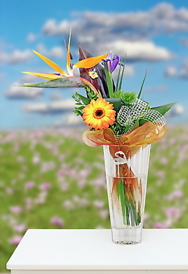 포토 JPG 해외이미지 식물 디자인 계절 꽃잎 꽃 꽃다발 백그라운드 꽃무늬 오렌지 자연 유리 탁자 선물 사랑 사람없음 장식 초록색 여름 컬러풀 뷰티 노란색 정원 꽃병 보라색 봄 들꽃 벚꽃 흰색 축하 신선 개화 황금 다발 배열 제비꽃 해외포토 감정 컬러 가구 컨셉 무늬 과일 재질 생태계 파일형식 이미지허브