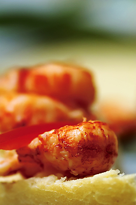 포토 JPG 해외이미지 음식 새우 파프리카 사람없음 맛 가재 해산물 암 세이지 전문 해외포토 컨셉 채소 갑각류 질병 파일형식 이미지허브