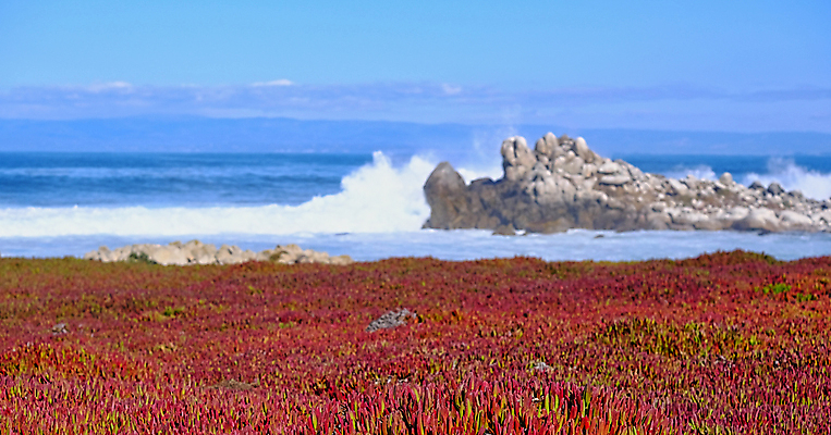포토 JPG 해외이미지 식물 파도 바다 백그라운드 자연 사람없음 빨간색 물 파란색 미국 안개 서핑 캘리포니아 태평양 내추럴 해외포토 자연요소 컬러 북아메리카 날씨 수상스포츠 생태계 파일형식 이미지허브