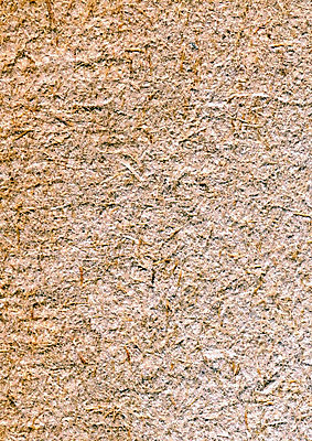 포토 JPG 해외이미지 나무 식물 계절 선 백그라운드 표면 추상 건조 그림자 사람없음 목재 갈색 힘 봄 젖음 거친 4 주름 역사 균열 닫기 숲 그늘 낟알 자르기 묘사 질감 자작나무 잡동사니 다리찢기 내추럴 깊이 생태학 옛날 해외포토 교육 컬러 무늬 재료 모션 숫자 파일형식 이미지허브