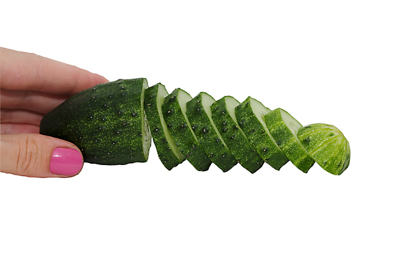 포토 JPG 해외이미지 식물 손 계절 음식 백그라운드 십자가 농업 채소 재료 오이 주택 건강 요리 사람없음 초록색 여름 식당 흰색 신선 닫기 맛 유기농 날것 향료 국산 흙더미 내추럴 고립 바이오 숙성 채식주의자 해외포토 웰빙 산업 컬러 컨셉 모션 건물 신체부위 상점 흙 채식 향기 냄새 파일형식 더미 이미지허브