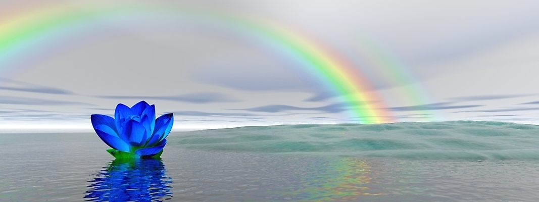 포토 JPG 해외이미지 웰빙 꽃 선 바다 분홍색 오렌지 일러스트 요가 자연 하늘 건강 연꽃 사람없음 빨간색 초록색 물 파란색 세트 노란색 3D 평화 침묵 일몰 꿈 안개 조약돌 바위 영혼 백합 제비꽃 명상 단계 뿌연 해외포토 자연요소 식물 컬러 컨셉 과일 날씨 노을 소리 돌_바위 디지털합성 생태계 파일형식 이미지허브