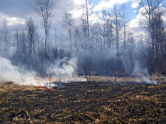 포토 JPG 해외이미지 나무 밭 농업 오렌지 자연 하늘 불 바람 휴식 건조 털 초원 사람없음 목재 빨간색 물 빛 달리기 노란색 검은색 봄 손상 가을 소나무 뜨거움 연기 위험 방향 속도 문제 승진 러시아인 엘리먼트 옛날 재 해외포토 자연요소 서양인 식물 계절 산업 컬러 컨셉 과일 재료 모션 날씨 생태계 파일형식 이미지허브